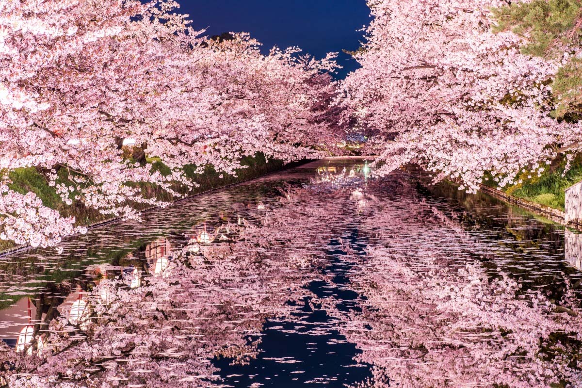 Công viên Hirosaki, tỉnh Aomori